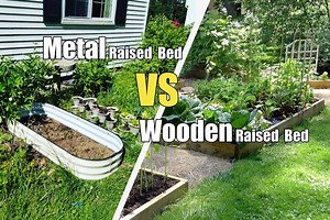 Metal vs Wood Raised Garden Beds: A Complete Comparison