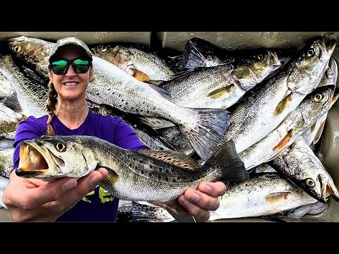 Went Redfishing and Loaded up on Speckled Trout (Spotted Sea Trout)! *Catch*Clean*Cook