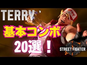 【スト6】今夜勝ちたい！テリーの基本コンボ20選！/ SF6 TERRY Basic Combo 20