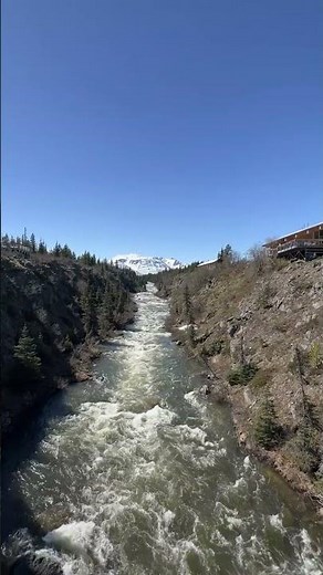 Alaska Cruise: There It Is! Yukon Suspension Bridge | Skagway Excursion
