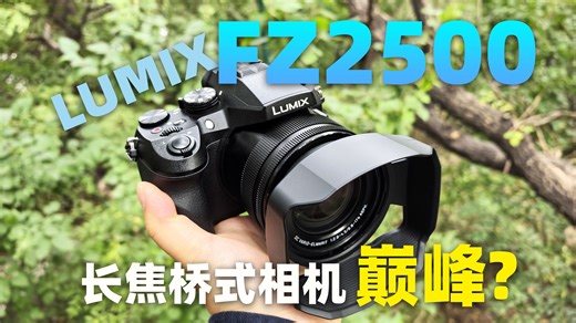 既能叱咤婚庆现场 也能公园溜达拍鸟？ ——回顾松下FZ2500