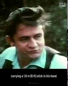 2.5M views · 24K reactions | Can an ostrich's kick kill you? | What If | Facebook