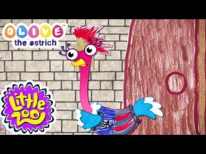 Olive and the Volcano | Kids Cartoons | ‪@LittleZooTV‬