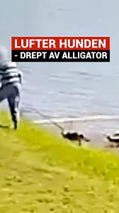 Kvinnen prøvde bare å redde hunden sin. 💔 | Dagbladet