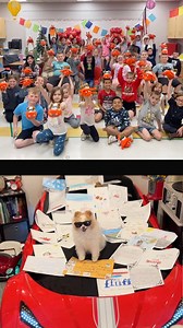 🎁🎥 TURN UP YOUR VOLUME — THERE’S A FLUFFY SURPRISE! 🥰 An elementary class in Pennsylvania sent me the coolest envelope overflowing with letters and portraits of yours truly… and I felt the love all the way in FLORIDA! 🌴 So I mailed them a BIG box of surprises and hopped on a video call to send back all the fluff and gratitude. I wish I could visit every school in the world in person—but that’s the magic of video. My fluffy heart can still show up everywhere. 🌍🐾💫 #smilesfurmiles #nonprofit