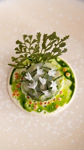 Let’s make a fish mosaic! 🐟🌿 A lovely technique to surprise your guests and infuse the fish with some extra flavor. Find a full recipe on my @gronda profile “Jules Cooking” 🙌🏼 I serve it with a oyster cream, a ginger gel, a seaweed crisp and a beautiful furikake & trout egg sauce! #julescooking #recipe | Jules Cooking