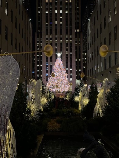 Chris Appleton on Instagram: "Last working week in nyc before the holidays. And if you haven’t pre ordered by book - link in bio 🎁"