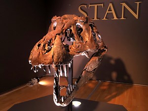 Christie's to auction off T. rex skeleton, expected to sell for at least $6 million