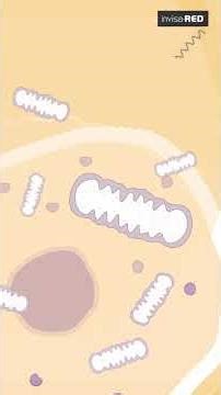 invisa-RED Technology