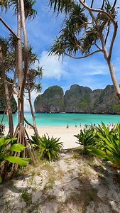 288K views · 160K reactions | Palm-framed paradise vibes  Maya Bay - Koh Phi Phi , Krabi Thailand  . . . . . #thailand #thailandia #thailande #tailandia #travelthailand #thailandtravel #krabi #mayabay #phiphiisland #kohphiphi #beachvibes #islandlife #landscape #vacation #travel | Adel Mgaieth | Facebook