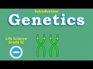 Genetics | Introductions | Life Science grade 12