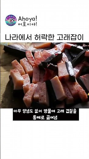 (1부)지방 두께만 70cm?! 나라에서 허락한 이누이트의 역대급 고래잡이