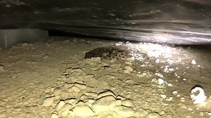 Here’s a short video from Crews, Tx. This definitely wasn’t our largest removal, but it was cool seeing a few unexpected guests... If you’ve watch any of our videos you know that these moisture-tarps are rattlesnake magnets. If you have a tarp, you’ll likely have some snakes. I apologize for not posting as much as I should be. We’ve literally been running all over Texas and I haven’t had much time to work on this side of things. More videos coming very soon. Also, if you haven’t yet, please go l
