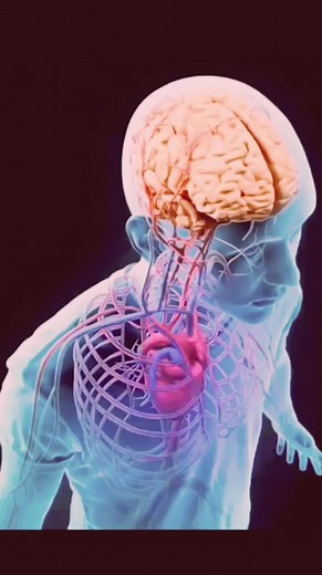 1.1M views · 50K reactions | हर रोज Health Tips के लिए हमें फॉलो...