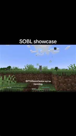 SOBL showcase for our custom mod #minecrafter #warriorcatsmod #warriorcats #warriorcatssmp #minecraftsmpserver #warriorcatsminecraftserver #minecraftmod #blowthisup #blowthisupforme #minecraftmod #minecraftmods #minecraftmodshowcase
