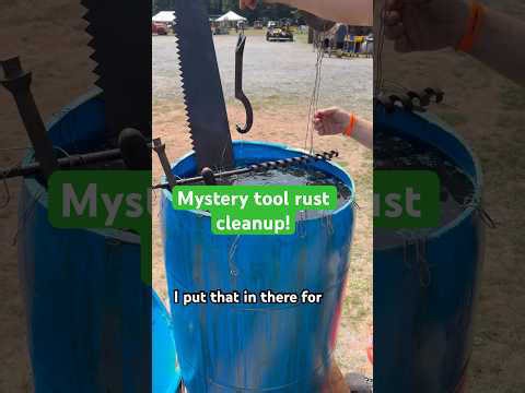 Mystery tool rust cleanup with Evaporust #workshop #tools #rusty