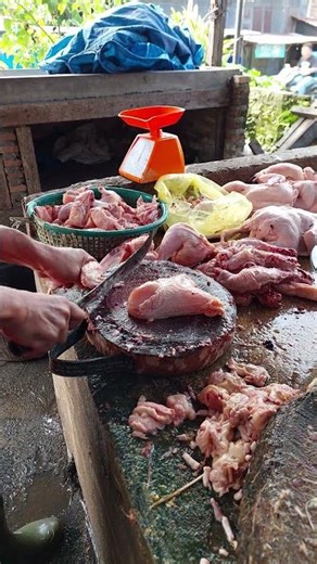 Chicken Cutting Techniques for Various Recipes