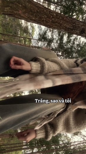 Exploring Nature: A Walk Through the Pine Forest