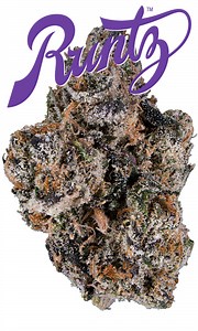 Runtz Eighth - The Flowery Shop