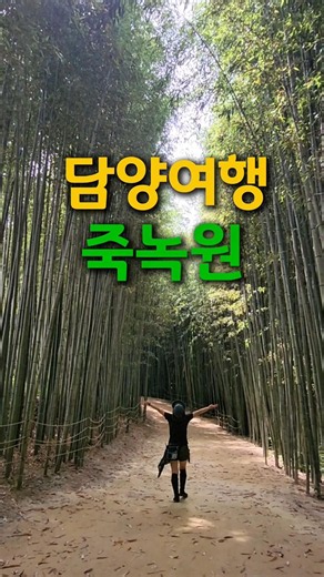 🎋 담양여행 | 죽녹원 대나무숲 산책 Damyang Trip | Walking Through Juknokwon Bamboo Forest