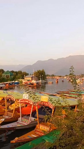 Beautiful famous Dal Lake view | Explorer Jammu Kashmir Valley