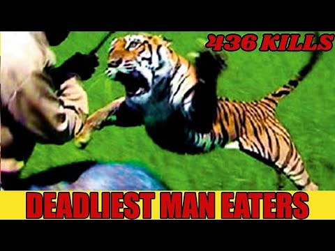 Top 10 Deadliest Man Eaters in History