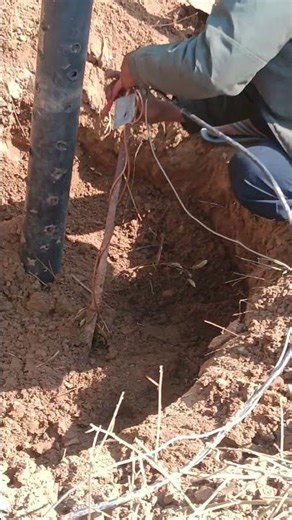 earthing kaa connection kaise kare