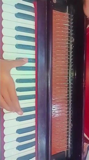 Basics of Harmonium #harmoniumlessons #harmoniumtips #singingtips