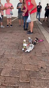 8.3K views · 32 reactions | Daytona Bike Week 2024 | Bike Week | Facebook