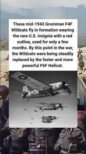 ✈️ Wildcats in Flight