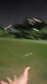 Train the small flying squirrel #The charm behavior of pet flying squirrel #.