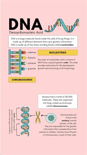 DNA Structure And Function | NEET Biology | #shorts #biology