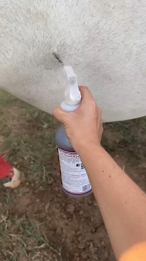 4K views · 53 reactions | Tired of your horses coming in with missing...