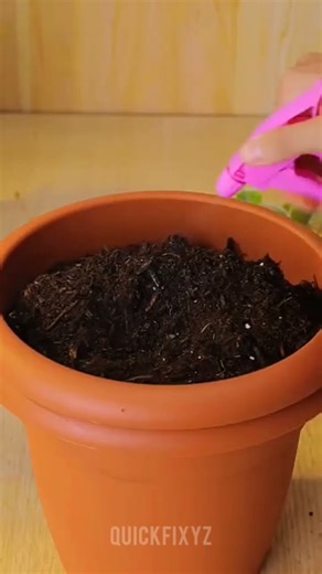 gardening #hacks #trending #short #video