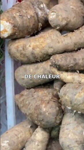 consommer la solution l'igname #igname