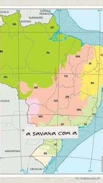 4 STRATEGIC BIOMES FOR BRAZIL #Biomes #geography