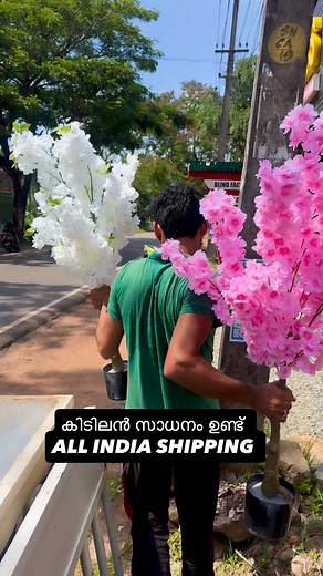 Ria Agencies Kollam on Instagram: "Artificial Plants ഒരുപാട് ഉണ്ട് മക്കളെ 77-364 17263 , 80-75612029, 62-82698168 RIA AGENCIES KOLLAM NEAR CHAKKUVALLY POLICE STATION"