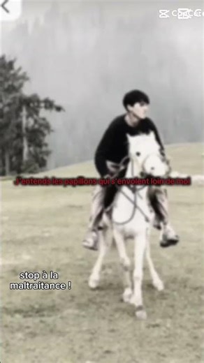 stop à la maltraitance !