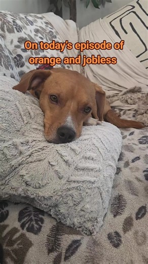 Orange and jobless