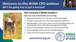 Nurses and laser therapy: How to get better treatment outcomes