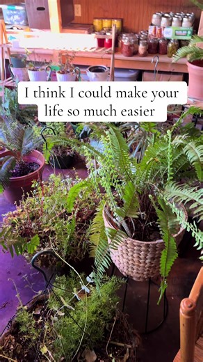 Your life would be SO much better with a greenhouse 🌿 You’ve been thinking about it… just do it 😉 Mountain Barn Builders is here to build your DREAM greenhouse 🥳🏡 📍 6540 South York Highway, Clarkrange, TN 38553 📞 931-863-8030 #MountainBarnBuilders #GreenhouseGoals #DreamGreenhouse #ClarkrangeTN #TennesseeLiving 🌱