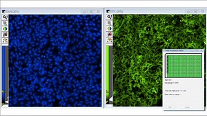 MolecularDevices 宽场高内涵细胞成像系统ImageXpress Micro-工作过程及多模块功能简介(已经上传)