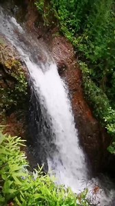 14K views · 882 reactions | How to reach from Tirupathi Tirupathi to Kailasakona would be 44 km. Bus or train transport is available from respective stations. . Bus route: Tirupathi to Satyavedu and need to get off at Kalisakona road stop to reach. . Train route: Tirupathi to Puttur and reach Puttur bus stop for direct buses and other alternatives. . Video Credits : Kosuri Kosuri Follow Us On Instagram.com/beautifultirupathi | Beautiful Tirupathi | Facebook