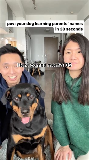 Emma literally learned our names in 30 seconds 🤣🤍 She is making us so proud 🥹 or are we overrating Emma? 😂 #dog #rottweiler #rottie #dogmom #dogdad #dogfamily #doglover #thisgirlemma | This Girl Emma