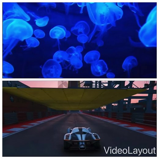 InterxstingFacts on TikTok