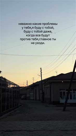 Understanding Creator Support Insights in 2025