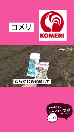 【じゃがいも栽培】コメリの「ぼかしっこ肥料」を使ってみた！大きく育つか挑戦🌱🥔 #農業 #じゃがいも栽培 #家庭菜園 #ガーデニング #造種生基