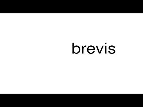 How to pronounce brevis