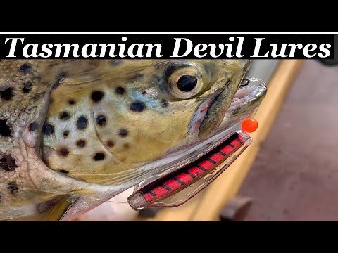 HOW GOOD are Tassie Devil Lures for TROUT | Tasmanian Devil