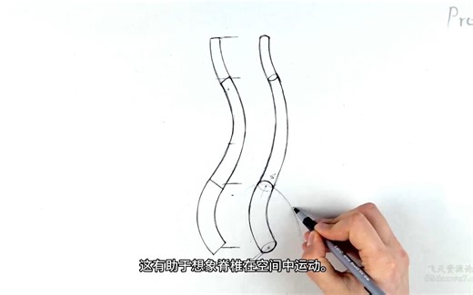 【艺用人体解剖】Proko（全集中字）2-1.2:脊柱的画法